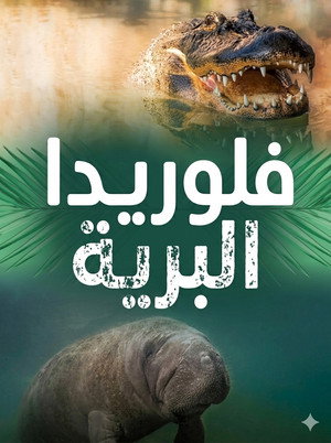 فلوريدا البرية