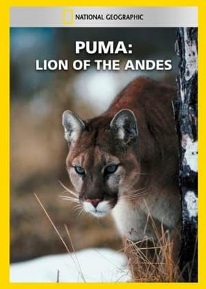 Image Puma: Lion of the Andes