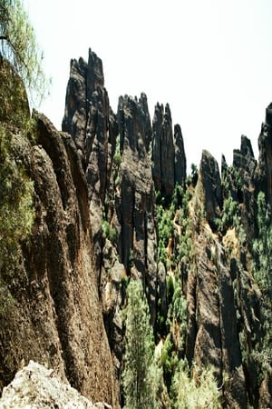 Image Pinnacles