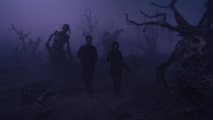 Images posters