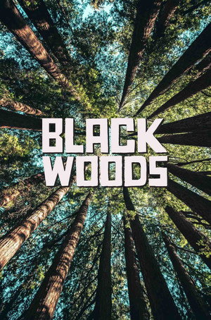 Blackwoods 2