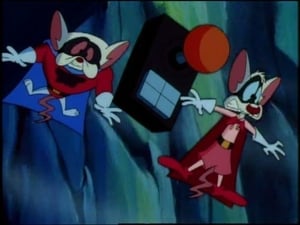 Animaniacs: 1×158