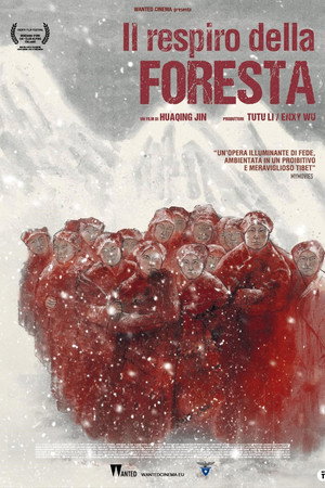 Dark Red Forest