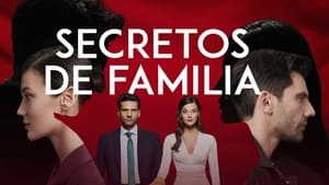 poster Family Secrets