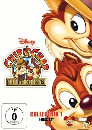 Poster Chip und Chap - Die Ritter des Rechts Staffel 2 Ein Haustier aus der Urzeit 1989