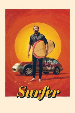 Image Surfer