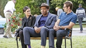 Hart of Dixie: Stagione 3 x Episodio 11