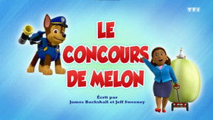 Paw Patrol Helfer auf vier Pfoten: 6×5