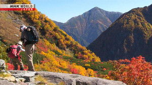 Magical Japanese: 4×2