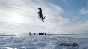 Die Reise der Pinguine 2 (2017)