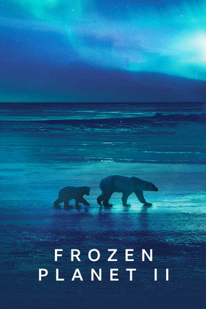 Frozen Planet II 27