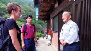 Journeys in Japan: 11×17