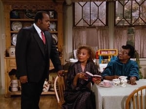 Family Matters Season 1 Episode 8