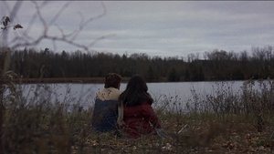 A Garota Ideal (2007)