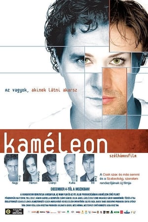 Poster Chameleon 2008