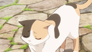 Neko to Ryuu Cap 8
