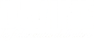 Divine - La fidanzata dell'Altro (2020) Streaming official logo