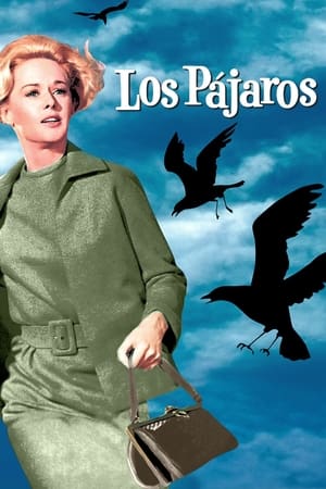 Poster Los pájaros 1963