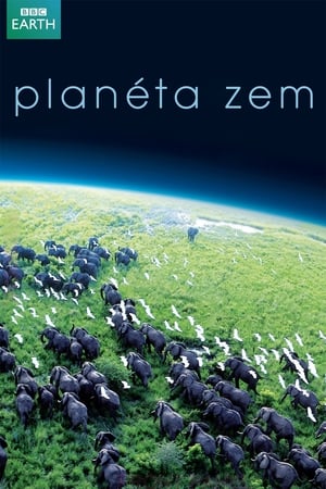 Poster Planéta Zem 2006
