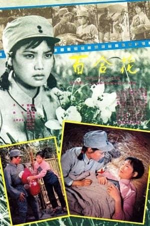 Poster Bai he hua 1981