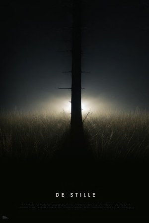 Póster oficial de la película De Stille