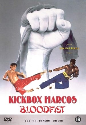 Image Kickbox harcos