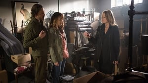 Grimm: Stagione 4 x Episodio 3