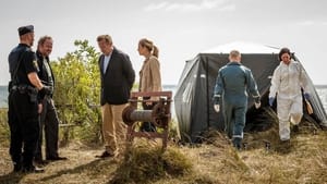 Wallander 29 - The Betrayal