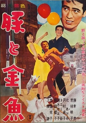 Poster 豚と金魚 1962