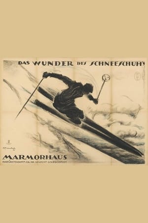 Poster Das Wunder des Schneeschuhs (1920)
