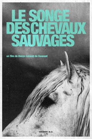 Poster Le Songe Des Chevaux Sauvages 1960