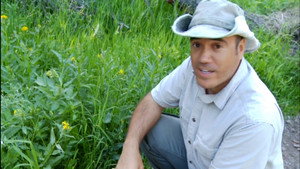 Evidence of Creation | StreamHub