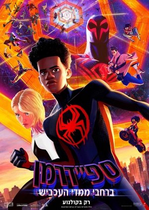 poster Spider-Man: Across the Spider-Verse