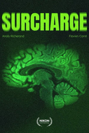Surcharge 3