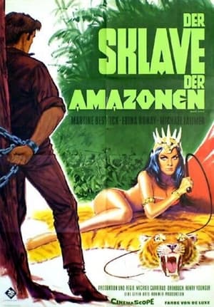 Image Der Sklave der Amazonen
