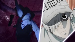 Cells at Work!: 2×5