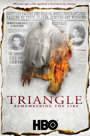 Poster Triangle: Remembering the Fire (2011)