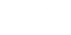 Herbie Fully Loaded