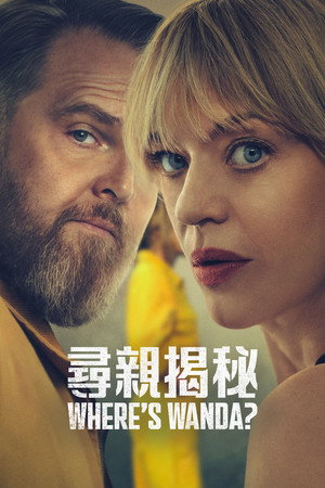 旺达在哪里？ 海报