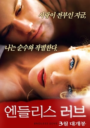 엔들리스 러브 (2014)