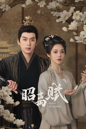 Elegy of Zhao Li (2025)