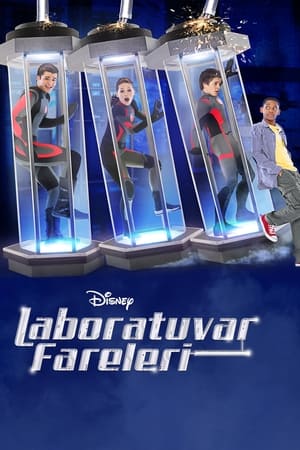 Lab Rats