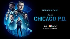 poster Chicago P.D.