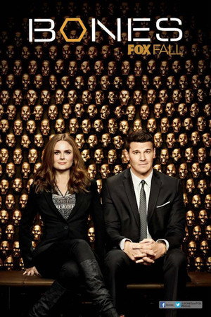 poster Bones