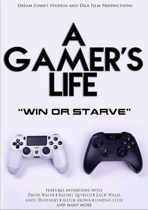 Poster A Gamer's Life 2016