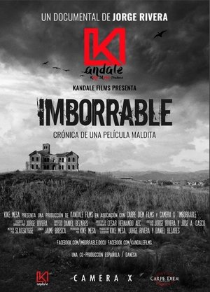 Image Imborrable