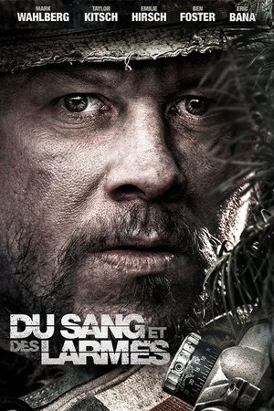 Du Sang et des Larmes (2013)