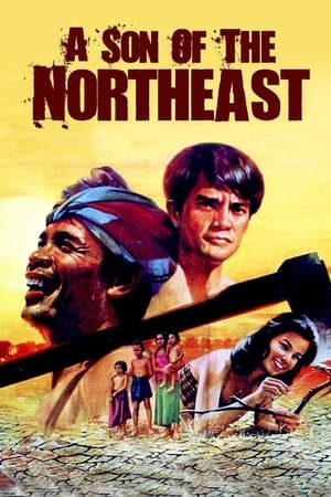 Poster A Son of the Northeast (1982)