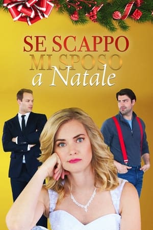 Poster Se scappo mi sposo a Natale 2017