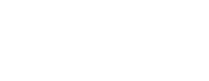 Bad Guys: Vile City — Logos 8